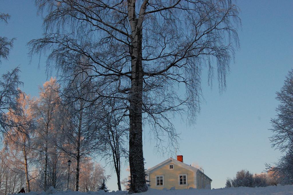 Brunnsgarden Bed & Breakfast Skellefteå Dış mekan fotoğraf