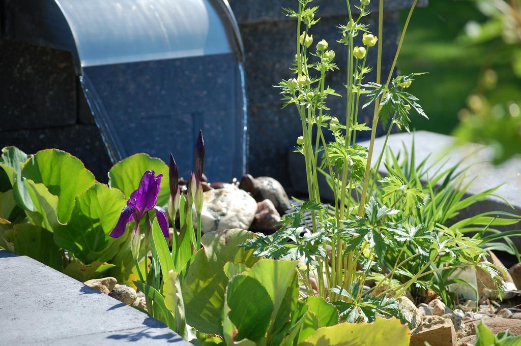 Brunnsgarden Bed & Breakfast Skellefteå Dış mekan fotoğraf